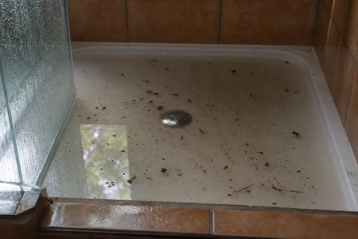 Eau qui stagne dans un bac de douche lors d&rsquo;un refoulement de réseau